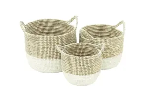 Brown Dried Plant Contemporary Storage Basket