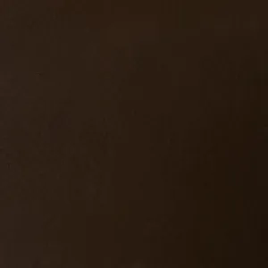 Butter Cocoa Brown Leather Swatch