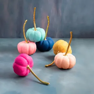 Large Rainbow Pumpkins